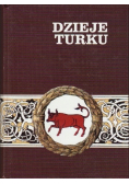 Dzieje Turku