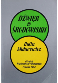 Dźwięk w środowisku