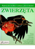Zwierzeta