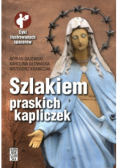 Szlakiem praskich kapliczek
