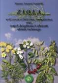 Zioła w leczeniu artretyzmu reumatyzmu