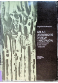 Atlas uszkodzeń drzew i krzewów