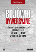 Bojówki dywersyjne