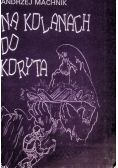 Na kolanach do koryta