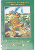 Płazy i gady Polski
