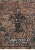 Szare szeregi w Łowiczu i powiecie łowickim
