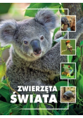 Zwierzęta świata