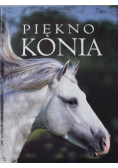 Piękno konia