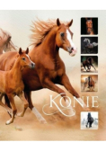 Konie