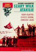Szary wilk atakuje