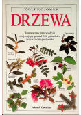 Drzewa