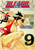 Bleach Tom 9