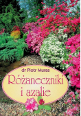 Różaneczniki i azalie