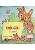 Króliczki w domu