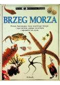 Patrzę Podziwiam Poznaję Brzeg Morza