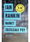 Nawet zdziczałe psy