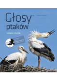 Głosy ptaków oglądaj i słuchaj