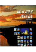 Kościoły Płocka i okolic