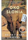 Oko słonia