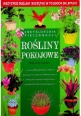 Rośliny pokojowe