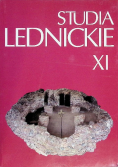 Studia lednickie Nr 11 / 12