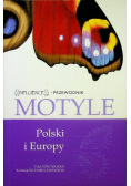 Motyle Polski i Europy