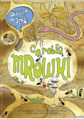 Opowiem ci mamo co robią mrówki