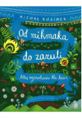 Od mikmaka do zazuli