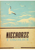 Niechorze i okolice
