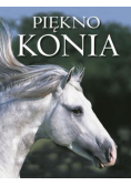 Piękno konia