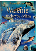 Walenie wieloryby delfiny i morświny