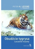 Obudźcie tygrysa Leczenie traumy