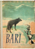 Bari syn szarej wilczycy