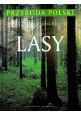 Lasy