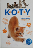 Koty