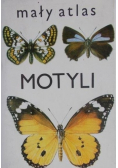 Mały atlas motyli
