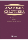 Anatomia człowieka
