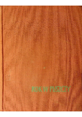 Rok w puszczy
