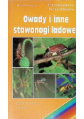 Owady i inne stawonogi lądowe Encyklopedia kieszonkowa
