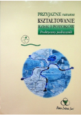 Przyjazne naturze kształtowanie rzek i potoków