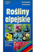 Rośliny alpejskie