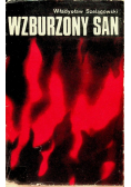 Wzburzony San