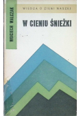W cieniu śnieżki