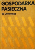 Gospodarka Pasieczna