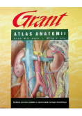Atlas anatomii Grant