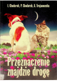 Przeznaczenie znajdzie drogę