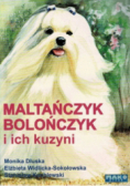 Maltańczyk bolończyk i ich kuzyni