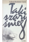 Taki szary śnieg