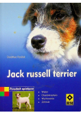 Jack Russell Terrier