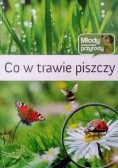 Co w trawie piszczy